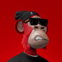 Tim (@cryptokid88) 's Twitter Profile