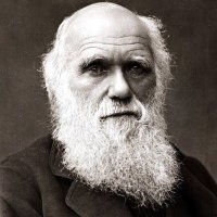 Charles Emre Darwin 🇧🇻🇩🇰🇸🇪🇮🇸(@EmreYusann) 's Twitter Profile Photo