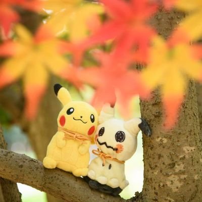pekatyu86's profile picture. パニック、躁鬱、社交不安を患っています。
カラオケとゲームが好きです。現在デイケア月2回で通所してます。