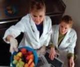 Find the Best Registered Dietitian Schools Online.