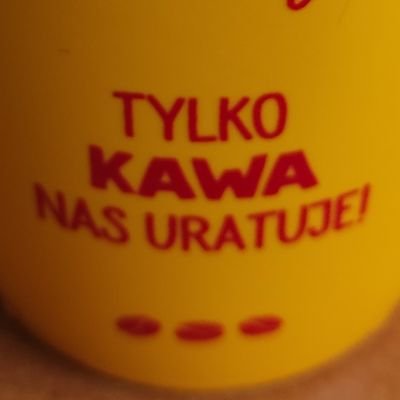 elibilewicz's profile picture. 