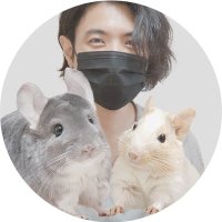 ちー＠ちーちゃんねる(@chii7_channel) 's Twitter Profile Photo