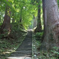 京都で林業を目指したい@子育て世帯 (@minososomusic) Twitter profile photo