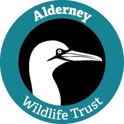 AlderneyWT Profile Picture