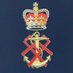 Head of the Naval Nursing Service (@hnns_qarnns) Twitter profile photo
