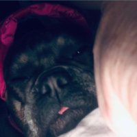 mrsmidwoofs (@mrsmidwoofs) 's Twitter Profile Photo mrsmidwoofs (@mrsmidwoofs) 's Twitter Profile Photo