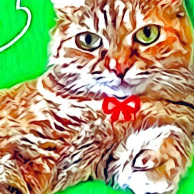完全に理解したネコ 0/95さんのプロフィール画像