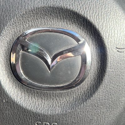 Daniel49771898's profile picture. 