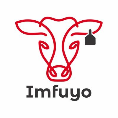 Imfuyo, award-winning startup 🏆, blends 🌐 tech & 💰 finance to unlock sustainable food production, elevating farmers' incomes 🌱🐄🐐🐑