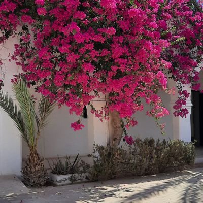 Sylvie52371193's profile picture. 