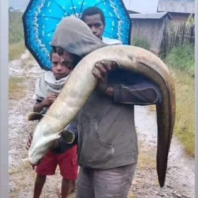 isak14035581's profile picture. 