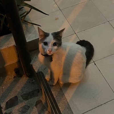 mlevin33's profile picture. marinating