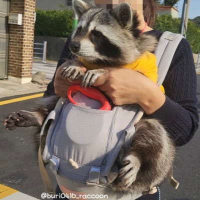 kovskyforlunch's profile picture. Saigon.