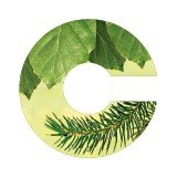 Confor (@forestsandwood) 's Twitter Profile