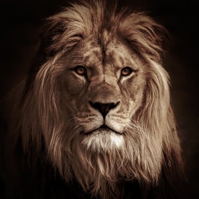 Jai0114's profile picture. 