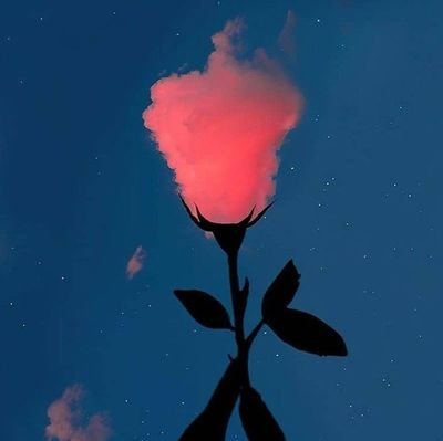 _Miss_Kui's profile picture. 