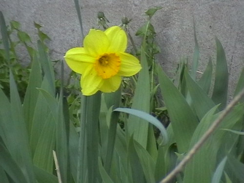 rak73iiw's profile picture. Живу!