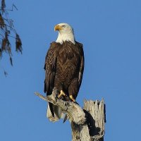 Manuel.base.eth (@manuel254001) 's Twitter Profile Photo
