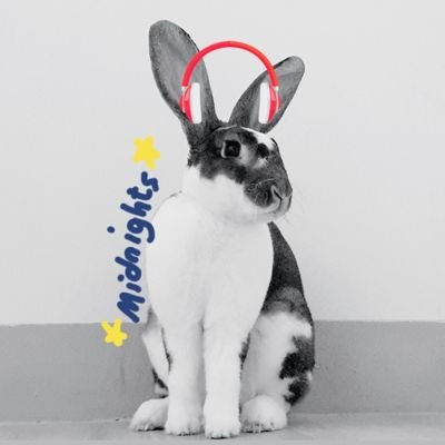@dear_reader20