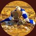๐๐ููุงูู ู
ูุฐ ู
ุจุทู ๐๐ (@saudd_141) Twitter profile photo ๐๐ููุงูู ู
ูุฐ ู
ุจุทู ๐๐ (@saudd_141) Twitter profile photo