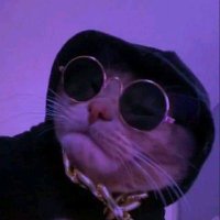 Comandanta Flora (@comandantaflora) 's Twitter Profile