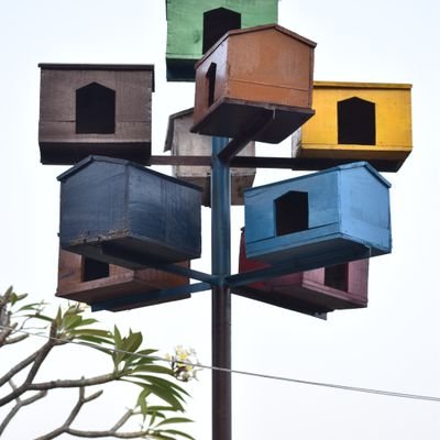 SunilYa99031661's profile picture. 🇮🇳