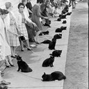 Dina Bond - @dinamda - Twitter