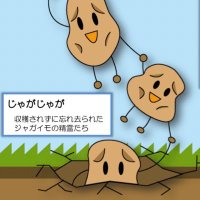 おいもまん (@ho9ho9oimo) 's Twitter Profile