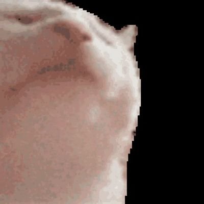 @Toucann_Froot