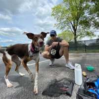 Nick Porretto (@nickporretto) 's Twitter Profile