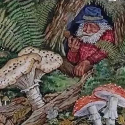 Democracy Hater | Gnome Truther | Zoomer | Leaf 🍁