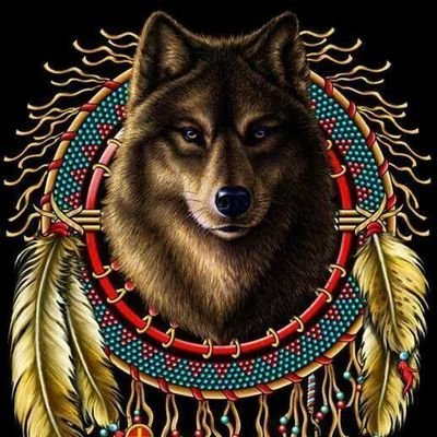 DRedWolfMoody's profile picture. Native American Catholic Cherokee. Loving God (The Great Spirit) and Serving Others. #AniwayaWolfClan #RedWolf