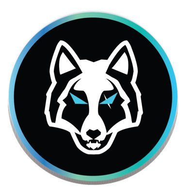 Would you like to be a part of an exciting, community-owned investment DAO? If so, Wolf Works DAO is the perfect place for you! $WLD https://t.co/VDjgCmCdqJ