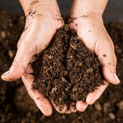 The_dirt_farm's profile picture. Out of the ground, into the sky, out of the sky, into the dirt