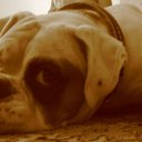 Cooper  Edgar - @CooperEdgar - Twitter