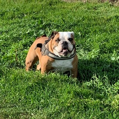 fogartini1983's profile picture. 