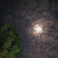 Eslah🦋 (@esl_hh) Twitter profile photo