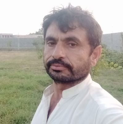 freelance journalist analyst human rights activist student of english literature.