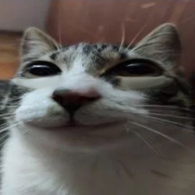 boo!