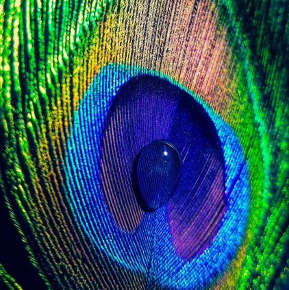 JJ_JAY_JL's profile picture. 