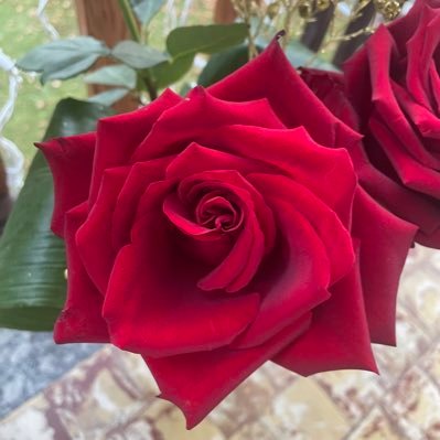 Frances32848424's profile picture. 