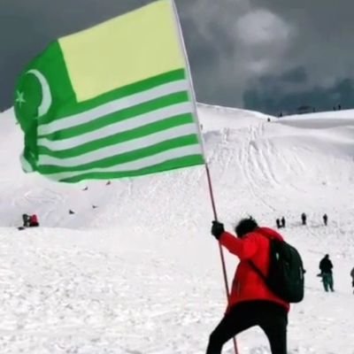 sardarkha531's profile picture. 