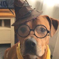 Laura O'Brien (@lauraobrien147) 's Twitter Profile Photo