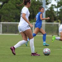 Ava Cardaci (@avacardaci2024) 's Twitter Profile