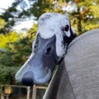 Q_Z (@uimq_z) 's Twitter Profile Photo Q_Z (@uimq_z) 's Twitter Profile Photo