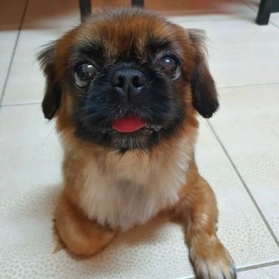 crypticfaith's profile picture. 