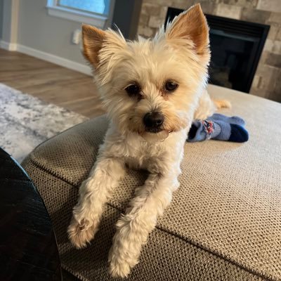 Kendra Wecker Profile