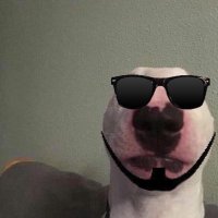 NYG Black Pill (@givememangarecs) 's Twitter Profile