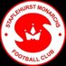 Staplehurst Monarchs Football Club (@staplehurstmon) Twitter profile photo