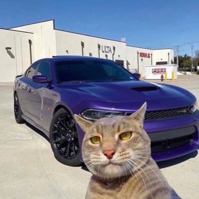 salemvfx's profile picture. Editor 📽️ Working with @LND_Esp |